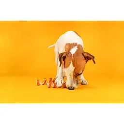 Ласощі для собак Chicken Chewing Curls Trixie, 3шт. 15 см / 110 г (курка) - мініатюра 3