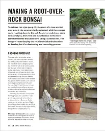 Grow Bonsai - мініатюра 11