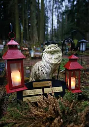 Faithful unto Death. Pet cemeteries, animal graves and eternal devotion - мініатюра 6