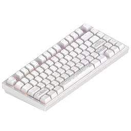 Клавіатура Dark Project ALU81 Terra Nostra PBT RGB Mech G3MS Moonstone White (DPKB_NOSTRA_81_ANSI_WHITE_UA) - мініатюра 4