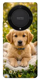 TPU чохол Demsky Small labradore для Huawei Magic5 Lite