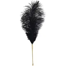 Лоскітка Lockink Sevanda Natural Peacock Flirting FeaTher Tickler, перо павича - мініатюра 3