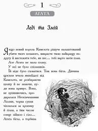 Школа добра и зла. Кристал часу. Книга 5 - Зоман Чейнані (Ч681005У) - мініатюра 2