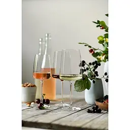 Келих для вина Schott Zwiesel Flavoursome & Spice Vivid Senses 660 мл 1 шт. (122429) - мініатюра 6