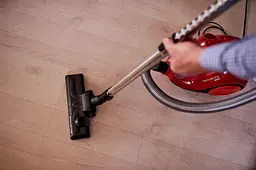 Пилосос Rowenta RO2913EA - мініатюра 8