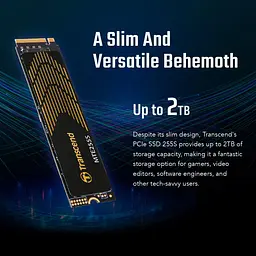 Накопичувач SSD Transcend m.2 NVMe 1TB PCIe 4.0x4 3D NAND (TS1TMTE255S) - мініатюра 6