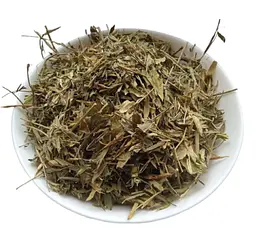 Манжетка Трава Приворотень Alchemilla vulgaris - мініатюра 1