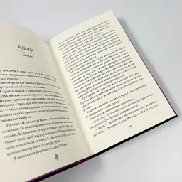 М'ясник та Чорна Пташка - Брінн Вівер | Артбукс, книга українською, нова, тверда - мініатюра 4