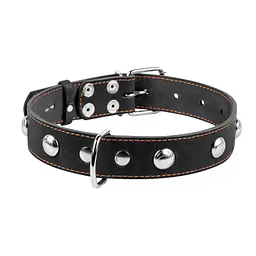 Нашийник Collar одинарний з прикрасами, 48-63х3,5 см, чорний - мініатюра 2