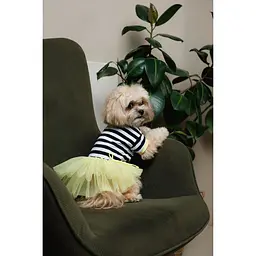 Сукня Pet Fashion Liana для собак S - мініатюра 2
