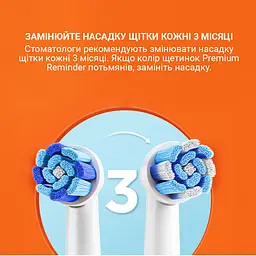 Електрична зубна щітка, що обертається з футляром Bitvae R2 8 насадок Black - мініатюра 3