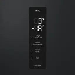 Холодильник LG GW-B509FXUW - мініатюра 8