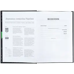 Щоденник шкільний Kite CyberRink 170х238 мм чорний (K25-262-9) - мініатюра 4