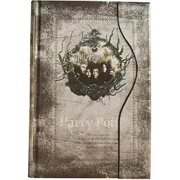 Щоденник GeekLand Harry Potter сріблястий 6.38.5