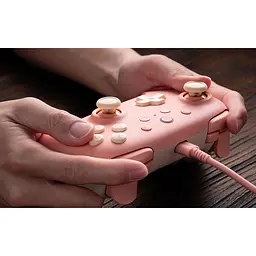 Геймпад 8BitDo Ultimate 2C Wired 82CD Peach Edition [122649] - мініатюра 11