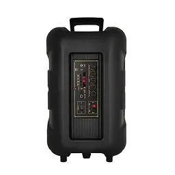 Акустична система XPRO RX-1228 з Bluetooth і караоке (MER-15714_3095) - мініатюра 4