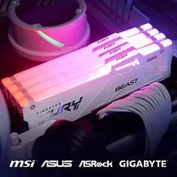 Модуль пам'яті для комп'ютера DDR5 32GB 6000 MHz Beast AM5 RGB White Kingston Fury (ex.HyperX) (KF560C36BWEA-32) - мініатюра 12