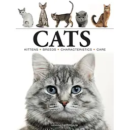 Cats - Фотопулос Джуліанна