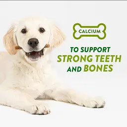 Натуральні ласощі для зубів цуценят WHIMZEES Puppy Dental Care Dog Treat XS/S 28 шт. - мініатюра 8
