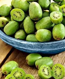 Саджанець Agro-Market Актинідія Коломікта (міні-ківі, морозостійкий сорт, пізній термін дозрівання) (44814) 1 шт. в упаковці - мініатюра 4