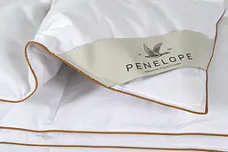 Ковдра Penelope - Bronze 8,5 tog пухова 195x215 євро - мініатюра 4