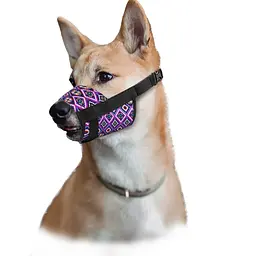 Намордник ТМ HIDOG Aztec з нейлону регульований №1(25-34см) 132-1003 (2100102386014)(SN) shop (2100102386014) - мініатюра 4