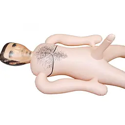 Секс-лялька Boss Male Doll - мініатюра 4