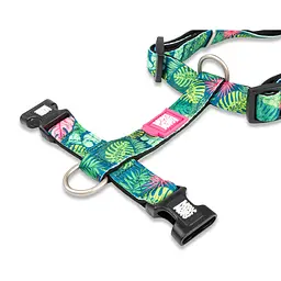 Набір для котів Шлея-повідець Max & Molly Harness Tropical 1 розмір  - мініатюра 2