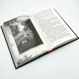 Приховані малюнки - Рекулак Джейсон | Клуб Сімейного Дозвілля, книга українською, нова, тверда - мініатюра 3