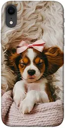 TPU чохол Demsky Sleepy spaniel для Apple iPhone XR (6.1")