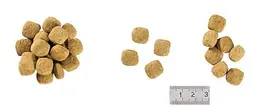 Сухий корм для дорослих собак Royal Canin Anallergenic при харчовій алергії або харчовій непереносимості деяких інгредієнтів 3 кг - мініатюра 3