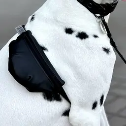 Сумка-бананка для собак Hat-Dog з еко-шкіри чорна (L-XL) - мініатюра 4