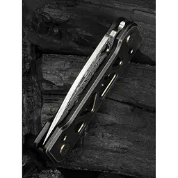 Ніж складаний Weknife Tyro WE24001-DS1 - мініатюра 18