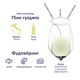 Набір: Вино I Castelli Pinot Grigio біле сухе 12% 0.75 л + Цукерки Millennium мигдаль у молочному трюфелі 100 г - мініатюра 4
