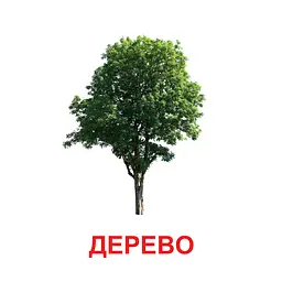 Картки міні Zirka Світ рослин 110х110 мм (478518) - мініатюра 2