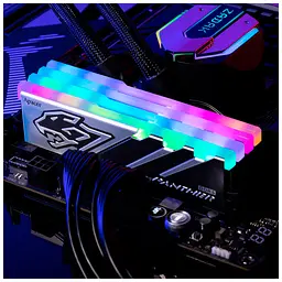 Модуль пам'яті для комп'ютера DDR5 32GB (2x16GB) 5600 MHz Panther RGB Apacer (AH5U32G56C5229BAA-2) - мініатюра 4