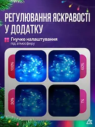Розумна світлодіодна гірлянда RGB 3 м /30 LED, вулична та інтер’єрна, Bluetooth App Control +ДК +USB, мультиколір (9028124217) - мініатюра 8