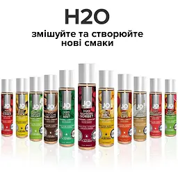 Змазка на водній основі System JO H2O - Raspberry Sorbet (120 мл) - мініатюра 5