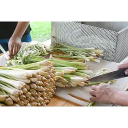 Ром Chalong Bay Lemongrass 40% 0.7 л - мініатюра 5