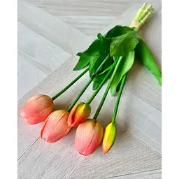 Тюльпан латексний №1389 кулька кораловий