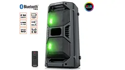 Портативный музыкальный центр бумбокс REAL-EL X-757 Black
