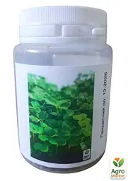 Насіння Agro-Market Мікрозелень Рукола у банці 20 г (45225) - мініатюра 2
