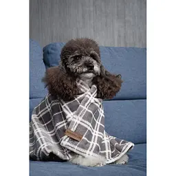 Плед Pet Fashion Bliss 1 для собак і котів плюш сірий картатий 70,5х55,5 см - мініатюра 10