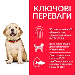 Сухий корм Hill’s SP Puppy Large Breed для цуценят великих порід з куркою 14.5 кг - мініатюра 2