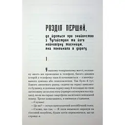 Рік Шершня - Василь Шкляр КСД (9786171516489) - мініатюра 10
