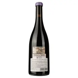 Вино Magnum Ribeiro Santo Bastardo DO Dao 2020 червоне сухе 0.75 л - мініатюра 2
