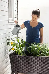 Грядка Keter Easy grow сірий (7290103660833) - мініатюра 6