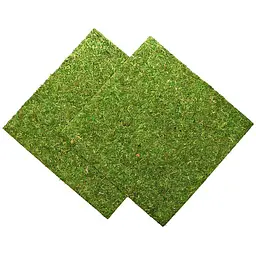 Фон з натурального моху Repti-Zoo Natural Moss Back & Bottom 45x45см 2 шт (NCM4545) для тераріуму - мініатюра 4