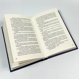 Помічниця лиходія - Ханна Ніколь Мерер | Vivat, книга українською, нова, тверда - мініатюра 3