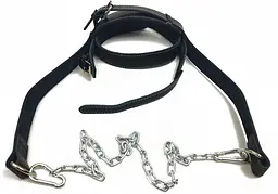 Упряж EasyFit BISON чорна (шкіра)